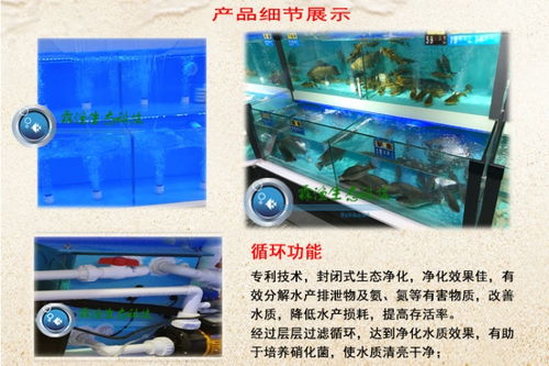 南昌霖漁科技 定制化生態養殖，賦能酒店海鮮暫養新紀元